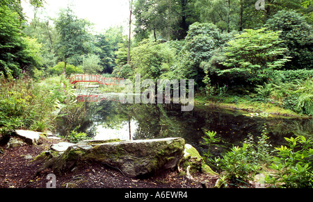 Ponte giapponese e uno stagno a Portmeirion numero 2312 Foto Stock