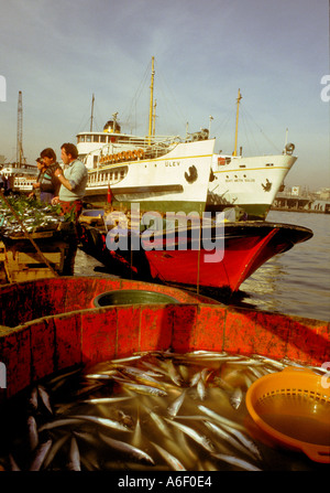 Venditori di pesce Eminonu Istanbul Foto Stock