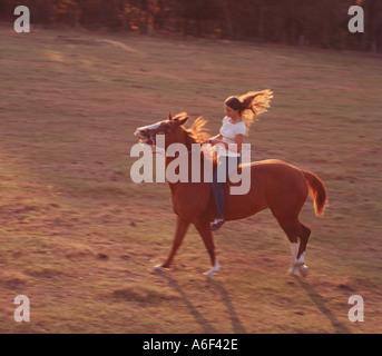 Ragazza cavallo al galoppo nel campo Foto Stock