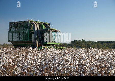 La raccoglitrice di cotone raccolto del cotone, Georgia Foto Stock