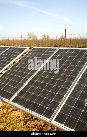 Pannelli solari installati in vigna dormienti, California Foto Stock