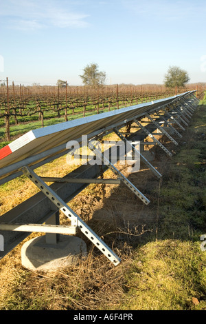 Pannelli solari installati in vigna dormienti, California Foto Stock