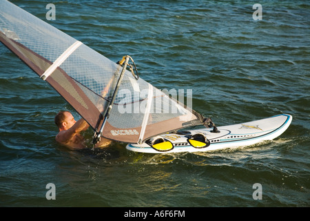 BELIZE Ambergris Caye maschio adulto in acqua vicino alla tavola windsurf preparare alla posizione Foto Stock