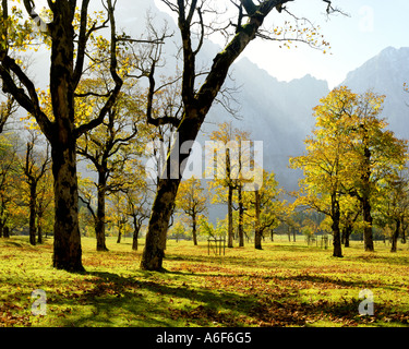 A - Tirolo: Grosser Ahornboden in ita Foto Stock