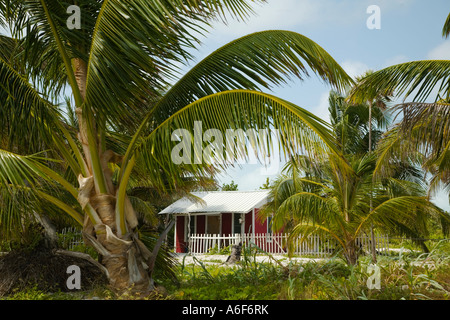 BELIZE Ambergris Caye rossa Piccola casa in legno con white Picket Fence sulla spiaggia vista attraverso le fronde delle palme Foto Stock