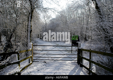 Stenner Woods Foto Stock