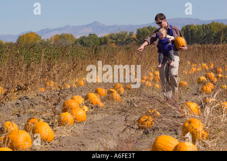 Un padre e figlia in un orto di zucche in Fallon Nevada Foto Stock