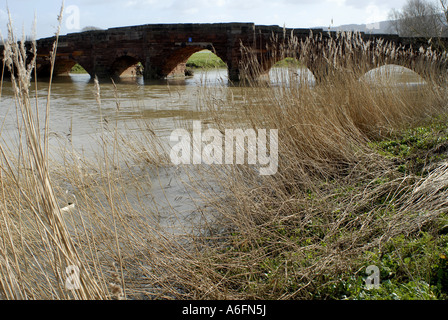 Eckington Bridge, Eckington, Worcestershire. Il tardo inverno con un rigonfiamento a livello fiume Avon Foto Stock