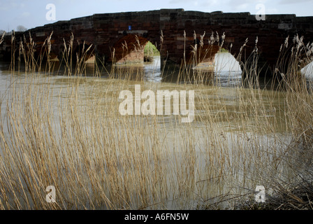 Eckington Bridge, Eckington, Worcestershire. Il tardo inverno con un rigonfiamento a livello fiume Avon. Foto Stock