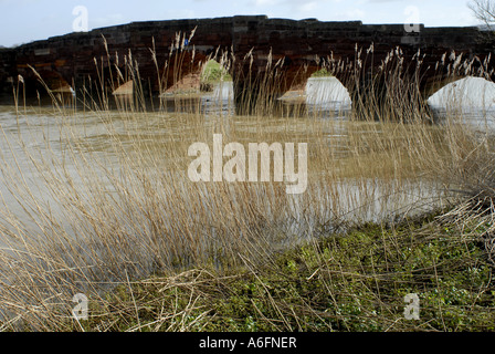 Eckington Bridge, Eckington, Worcestershire. Il tardo inverno con un rigonfiamento a livello fiume Avon. Foto Stock