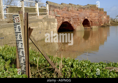 Eckington Bridge, Eckington, Worcestershire. Il tardo inverno con un rigonfiamento a livello fiume Avon. Foto Stock