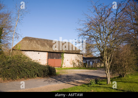 Narcisi e Sussex vecchio granaio fatto di flintstones con tetto di paglia Bognor Regis West Sussex England Regno Unito Foto Stock