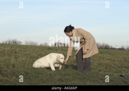 Golden Retriever (Canis lupus f. familiaris), giovane donna esercita con cucciolo Foto Stock