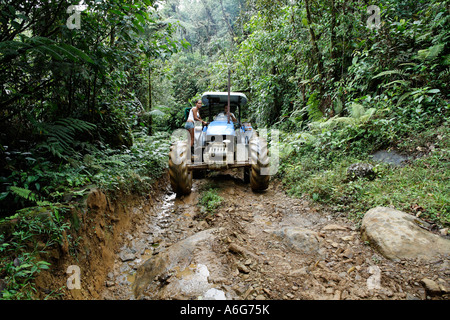 Guida del trattore da Las Horquetas di rara avis nella foresta pluviale, Costa Rica Foto Stock