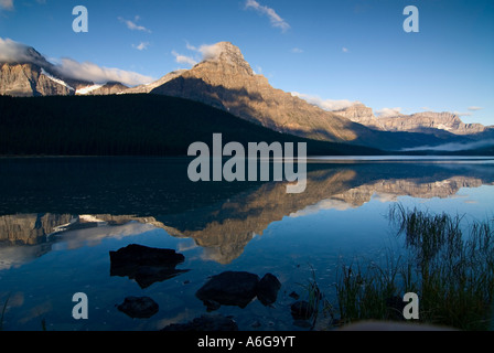 Mattina la riflessione del monte Chephren in basso Lago di uccelli acquatici, Waputik montagne, il Parco Nazionale di Banff, Alberta, Canada Foto Stock