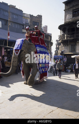 Elefante asiatico, elefante Asiatico (Elephas maximus), world-AIDS-day in Kathmandu, Nepal Foto Stock