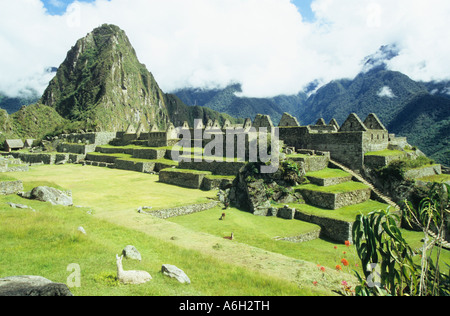 Machu Picchu Perù Foto Stock