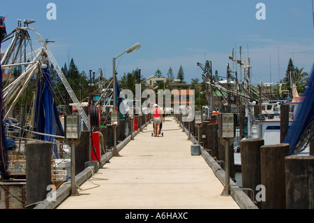 Due righe di molteplici attività di pesca i pescherecci con reti da traino legato lungo un dock Pier. Foto Stock