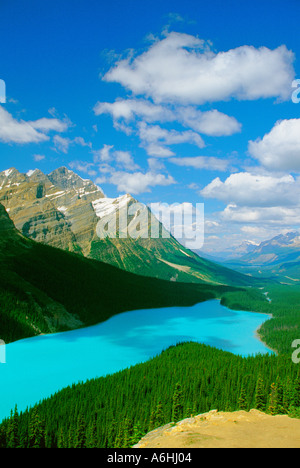 Il Lago Peyto come visto dalla prua Summit sul pomeriggio estivo Foto Stock