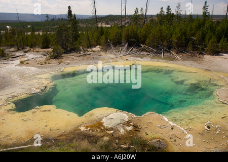 WYOMING USA Emerald molla nella Norris Geyser Basin Parco Nazionale di Yellowstone stabilito 1872 Foto Stock