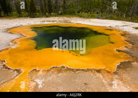 WYOMING USA Piscina Smeraldo un colorato hot springs thermal pool a sabbia nera bacino nel Parco Nazionale di Yellowstone Foto Stock