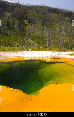 WYOMING USA Piscina Smeraldo un colorato hot springs thermal pool a sabbia nera bacino nel Parco Nazionale di Yellowstone Foto Stock