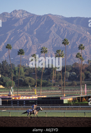 Santa Anita Racetrack warm up California Stati Uniti Foto Stock