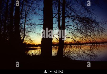 Wilstone Reservoir a Tring in Hertfordshire un tramonto invernale Foto Stock