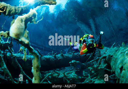 Immersioni subacquee fotografo in un lago di montagna chiaro in Austria Foto Stock