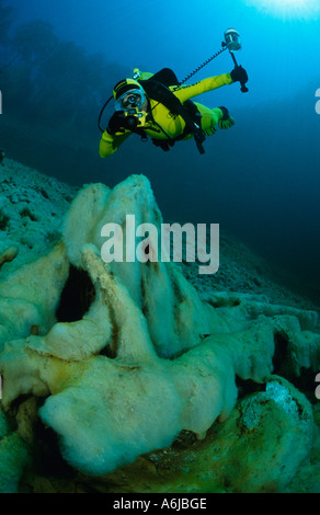 Fotografo di immersioni in un lago di montagna chiaro, Samaranger vedere Foto Stock