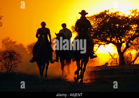 Gli ospiti a cavallo safari alla Riserva di Mashatu, Botswana Foto Stock