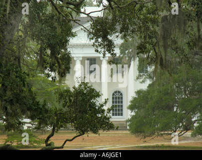 Prugna frutteto mansion Su Cumberland Island georgia usa Foto Stock