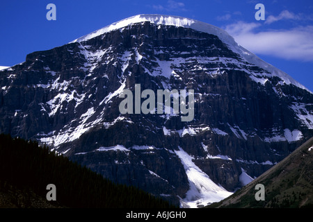 Vista dall'Icefields Parkway, Canada, Alberta Foto Stock