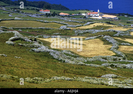 Vista da Pico da Esperanca per la costa settentrionale, portogallo Azzorre Foto Stock