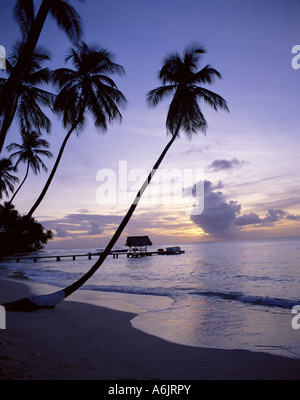 Pigeon Point al tramonto, Tobago, Trinidad e Tobago, piccole Antille, Caraibi Foto Stock