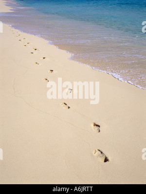 Orme nella sabbia, Warwick Long Bay, Warwick, Bermuda Foto Stock