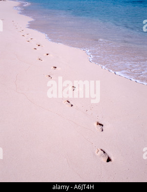 Orme nella sabbia, Warwick Long Bay, Warwick Parish, Bermuda Foto Stock
