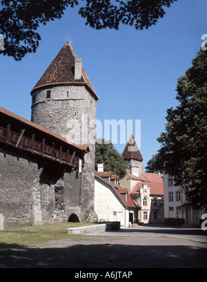 Town Gate e pareti, Città Vecchia, Tallinn, Harju, Estonia Foto Stock
