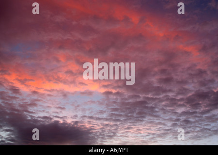 Colorato cielo sgombro all'alba indicativa di una variazione nel tempo e Cirrrocumulus Altocumulus cloud fogli Foto Stock