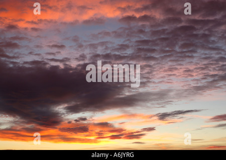 Colorato cielo sgombro all'alba indicativa di una variazione nel tempo e Cirrrocumulus Altocumulus cloud fogli Foto Stock