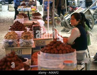 Strada del mercato vicino all esercito di guerrieri di terracotta di Xi'an Xian grande antica capitale della Cina cinese di Shaanxi Asia Asia asiatica Foto Stock