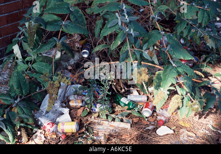 Litter - lattine e bottiglie scartate su un orlo di erba, London REGNO UNITO Foto Stock