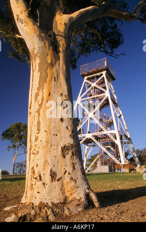 Vecchia miniera d'oro testa a fungo, Centrale Regione Goldfields, Victoria, Australia Foto Stock