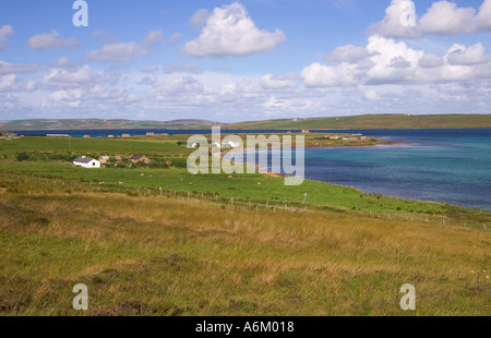 dh Bay of Quoys HOY ORKNEY campi erbosi case Burra Sound e Graemsay isola remota fuga paese scena lontano flusso scapa croft Foto Stock
