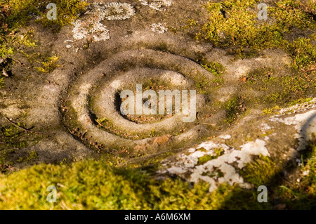 Dettaglio della roccia tagliata a Roughting Linn, Northumberland Foto Stock