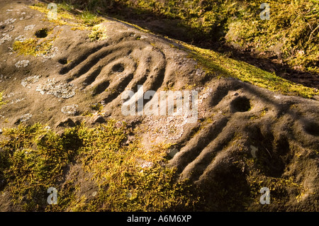 Dettaglio della roccia tagliata a Roughting Linn, Northumberland Foto Stock