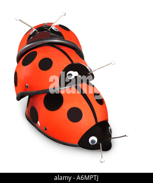 Motociclo ladybird caschi Foto Stock