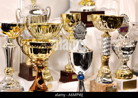 Moto sport golden tazze Trophy Collection Foto Stock