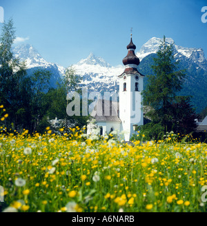 La primavera nelle Alpi austriache Foto Stock