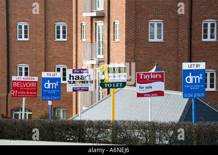 Colchester Essex England Regno Unito Gran Bretagna British cartellone segno bordo biciclette in affitto lasciar lasciar lettings agente agenti immobiliari agenzia Foto Stock